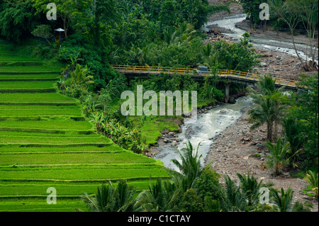 Überschwemmungen in Bali, Indonesien, verursacht Schäden an einer Brücke und Bestandteil einer terrassierten Reisfelder nach starken Regenfällen ausgewaschen wird. Stockfoto