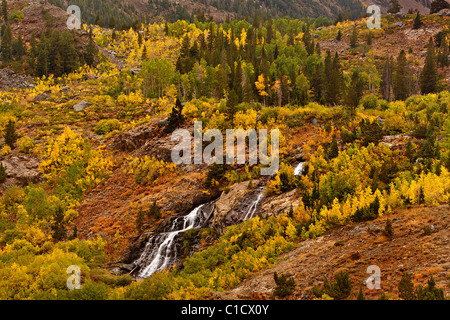 Mill Creek Falls stürzt durch bunte Espen in Lundy Canyon in der Nähe von Lee Vining, California, USA. Stockfoto