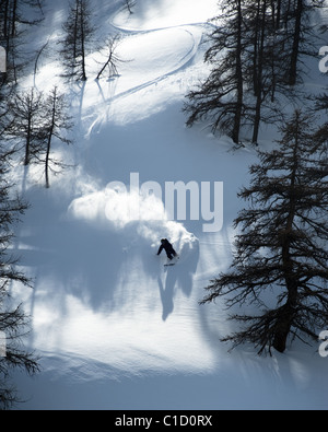 Ein Freeskier Skifahren im Tiefschnee in den Wäldern von Argentera, Italien. Stockfoto
