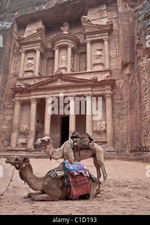 Petra in Jordanien die Schatzkammer mit zwei Kamele Stockfoto