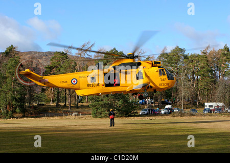 RAF Sea King SAR Hubschrauber schweben auf Rothiemurchus in der Nähe von Aviemore. Stockfoto