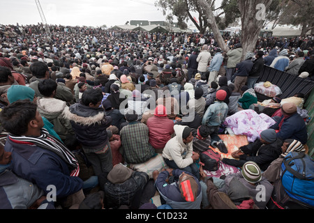 Flüchtlinge im Flüchtlingslager Shousha warten auf ihre Rückkehr Dokumente, Ben Gardane, Tunesien Stockfoto