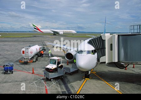 Air NZ Flugzeug auf Asphalt, Domestic Terminal, Flughafen Auckland, Nordinsel, Neuseeland, Mangare, Auckland, Auckland Region Stockfoto