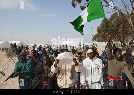 Wütend Nigerianer im Shousha Flüchtlingslager, Ben Gardane, Tunesien Stockfoto