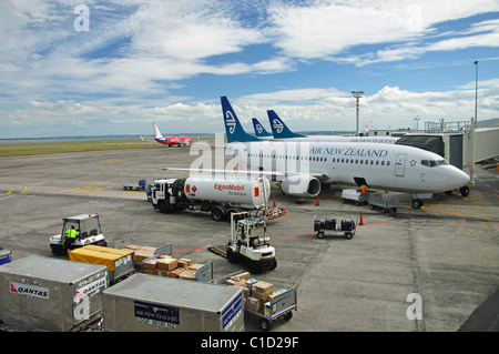 Air NZ Flugzeug auf Asphalt, Domestic Terminal, Flughafen Auckland, Nordinsel, Neuseeland, Mangare, Auckland, Auckland Region Stockfoto