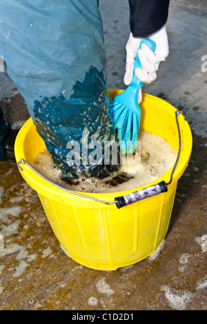 Am Bauernhof Hygiene - Reinigung der Schuhe nach einem Besuch in einem modernen Milchviehbetrieb UK Tierarzt. Stockfoto