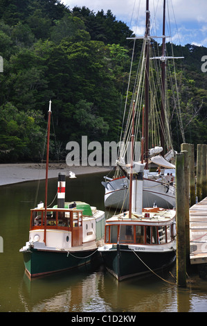 Dampfschiffe vertäut am Mahurangi Fluss, Warkworth, Region Auckland, Nordinsel, Neuseeland Stockfoto