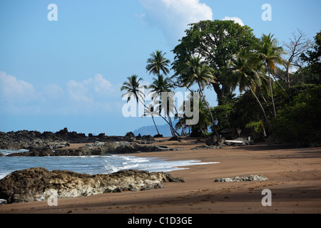 Einem tropischen Strand in der Nähe von Drake Bay entlang des Weges zum Corcovado Nationalpark auf der Osa Halbinsel in Costa Rica Stockfoto