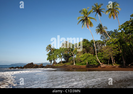 Einem tropischen Strand in der Nähe von Drake Bay entlang des Weges zum Corcovado Nationalpark auf der Osa Halbinsel in Costa Rica Stockfoto