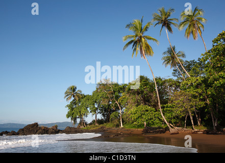 Eine isolierte tropischen Strand in der Nähe von Drake Bay entlang des Weges zum Corcovado Nationalpark auf der Osa Halbinsel in Costa Rica Stockfoto