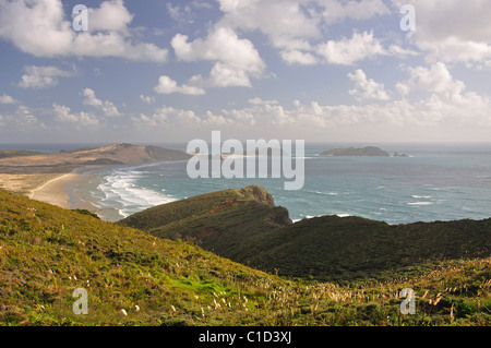 Küsten-Ansicht, Cape Reinga, Northland Region, Nordinsel, Neuseeland Stockfoto