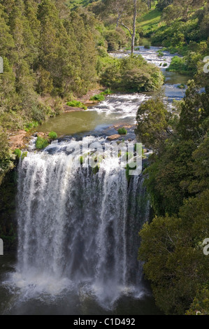 Dangar Falls nahe Dorrigo, New-South.Wales Hochwasser Stockfoto