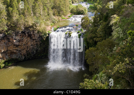 Dangar Falls nahe Dorrigo, New-South.Wales Hochwasser Stockfoto