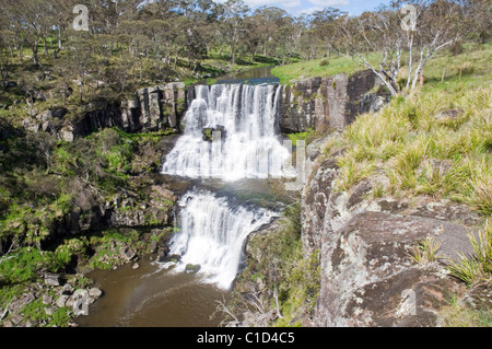 EBOR fällt auf dem Guy Fawkes River in New South Wales Australien Stockfoto