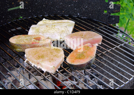 Grillen Fischsteak - Grillen Steak vom Fisch 18 Stockfoto