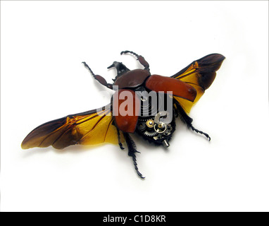 TIME FLIES sehen die Birdies... Künstler Mike Libby hat eine Reihe von verrückten Krabbeltiere - Insekten, dekoriert mit antiken geschaffen. Stockfoto