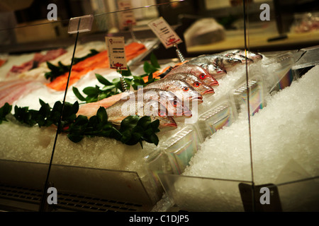 Fisch auf Anzeige zum Verkauf zu einem Fischmarkt in der Grand Central Station entfernt. Stockfoto