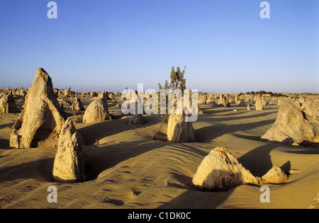 Australien, Western Australia, Nambung National Park, Pinnacles Desert Stockfoto