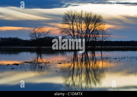 Reflexion des Sonnenuntergangs auf überfluteten Hof Feld bei Ewing Bottoms in Jackson County, Indiana Stockfoto