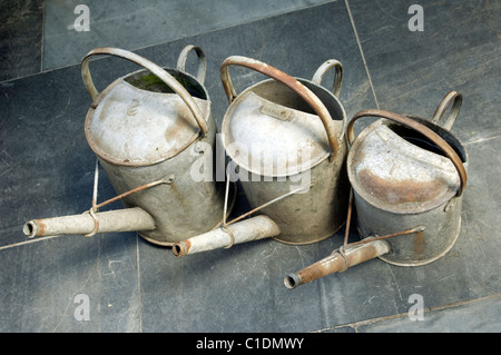 Drei verzinkt Gärtner Gießkannen, eine Gallone, eine halbe Gallone und zwei Gallonen auf einen Schieferboden. Stockfoto