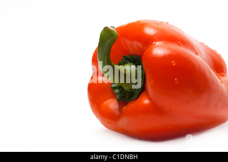 Orange bulgarischen Pfeffer isoliert auf weißem Hintergrund Stockfoto