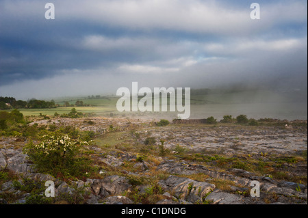 Nebligen Morgen um Carran Depression, eine große karstige Depression in der Burren, Co. Clare, Irland Stockfoto