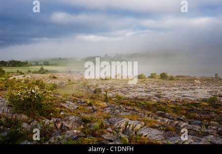 Nebligen Morgen um Carran Depression, eine große karstige Depression in der Burren, Co. Clare, Irland Stockfoto