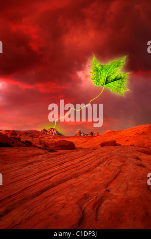 Surreale Landschaft mit Blatt Stockfoto