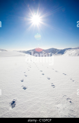 Mit Blick auf die Engel Peak und Braeriach über den Lairig Ghru von Ben Macdui, auf den Cairngorm mountains Stockfoto