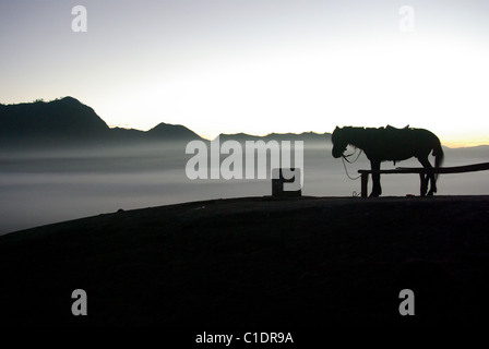 Sonnenaufgang über dem Mount Bromo, Java, Indonesien Stockfoto