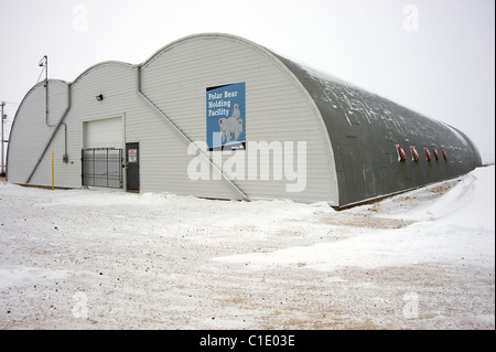 Der Eisbär Holding Facility in Churchill, Manitoba, Kanada Stockfoto