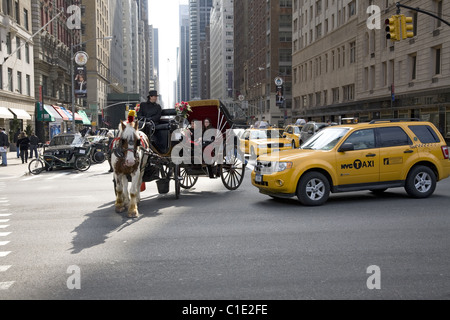 Buggy Fahrer erzählt eine aggressive Taxifahrer aus nach ein Beinaheunfall am Central Park South Central Park in New York City. Stockfoto