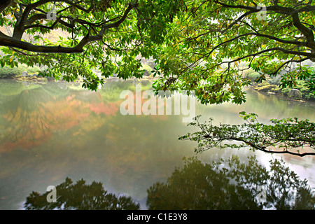 Reflexion am Teich in Portland Japanese Garden Oregon Stockfoto