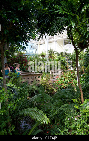 Innenministerium der Butterfly and Nature Conservatory, Key West, Florida, USA Stockfoto