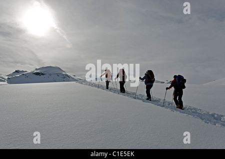 Eine Gruppe von Skitourengeher in der Silvretta Region Österreichs Stockfoto