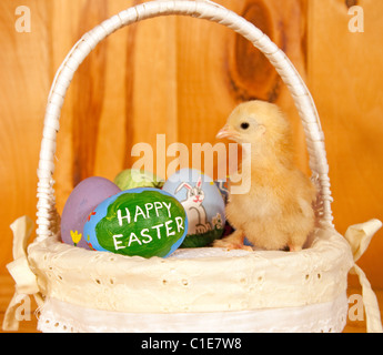 Winzige Osterküken in der Mitte der Hand keuchte Ostereier in einem Korb auf rustikalen hölzernen Hintergrund Stockfoto