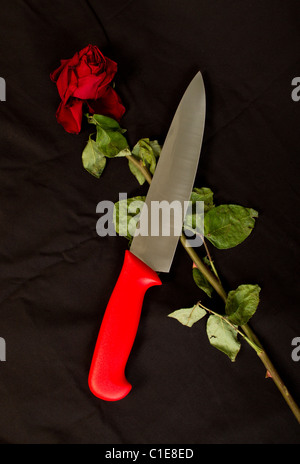Großen Küchenmesser und fast verwelkten Rosen Stockfoto