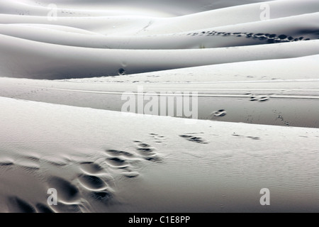 Die Sanddünen der Sahara-Wüste in Erg Chebbi in der Nähe von Dorf Merzouga in Marokko, Nordafrika Stockfoto
