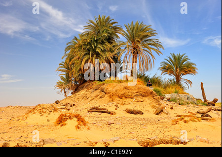 Oase mit Palmen im Nationalpark Weiße Wüste, Ägypten Stockfoto