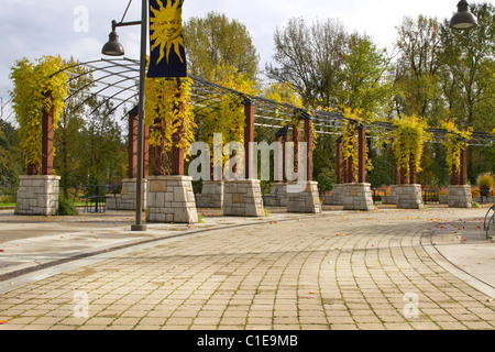 Kletterpflanzen für Pergola im Herbst im Park 2 Stockfoto