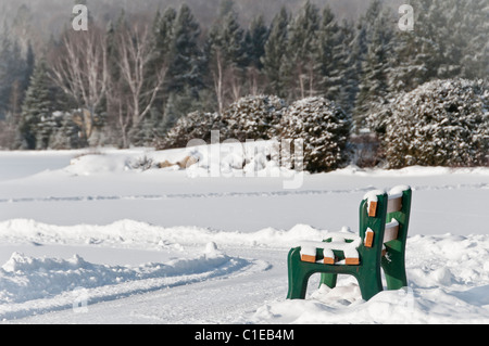 grüne Bank über einen eisigen See in Land, Quebec, Kanada Stockfoto