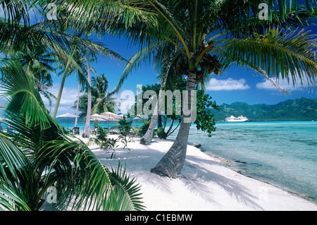 Frankreich, Französisch-Polynesien Tahaa Island, Landschaft aus einem Motu cruise Boot im Hintergrund Stockfoto