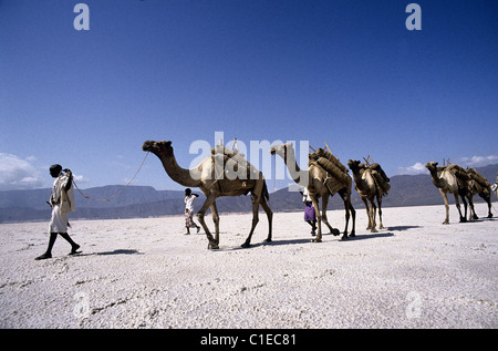 Djibouti, Lake Assal, Salz Wohnwagen Stockfoto