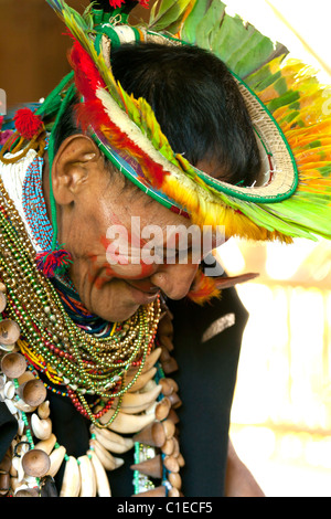 Schamanen aus dem Cofán Volk in die ecuadorianische-kolumbianischen Amazonas-Regenwald Durchführung Zeremonie Stockfoto