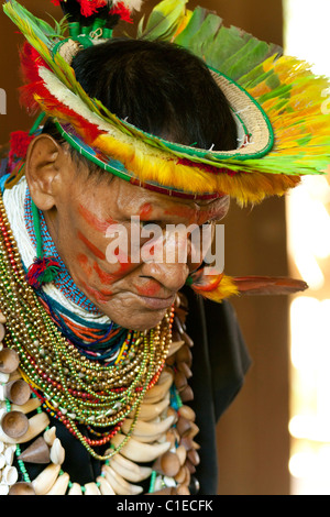 Schamanen aus dem Cofán Volk in die ecuadorianische-kolumbianischen Amazonas-Regenwald Durchführung Zeremonie Stockfoto