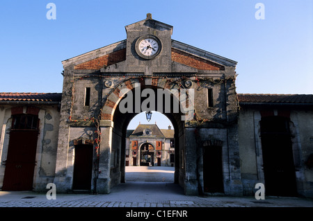 Frankreich, Haute-Marne, Montier En Der, nationale Gestüt in einem ehemaligen Kloster Stockfoto