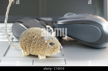 Computer-Maus und die Maus sitzt auf laptop Stockfoto