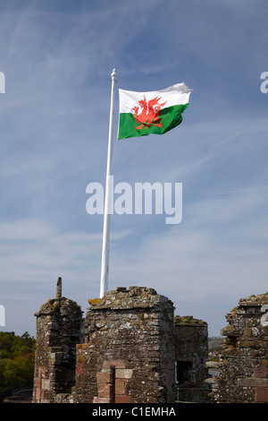 Walisische Flagge auf Conwy Castle (ca. 1287), Conwy, Wales, Vereinigtes Königreich Stockfoto
