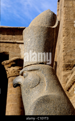 Gott Horus Tier Gott Horus Tier