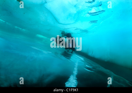 Unterwasser Video-Operator Didier Noirot, in den Baikalsee, Sibirien, Russland, Insel Olchon. Stockfoto